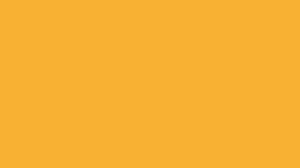 JF New color Background